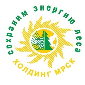 energiya_lesa.jpg