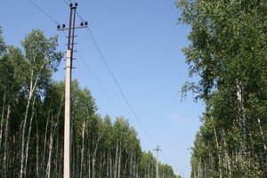 img_9473_smoll.jpg