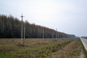 dsc_0981_smoll.jpg