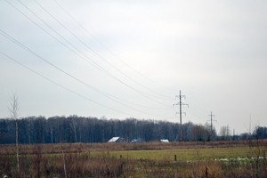 dsc_03941_smoll.jpg