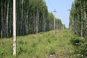 img_9475_smoll.jpg