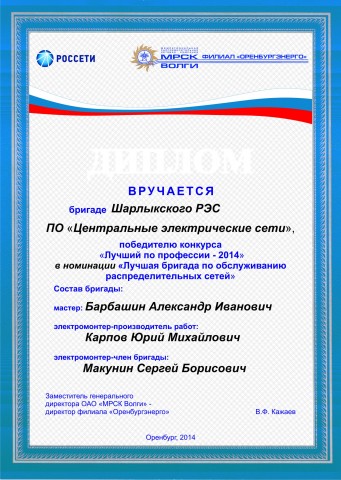 diplom_luchshiy_po_professii_2014_obcshiy.jpg