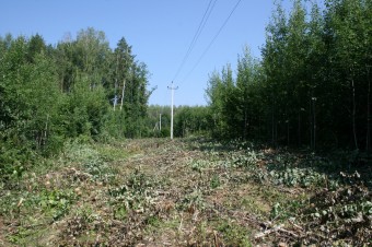 img_9517.jpg