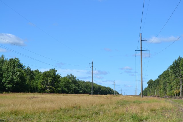dsc_0019.jpg