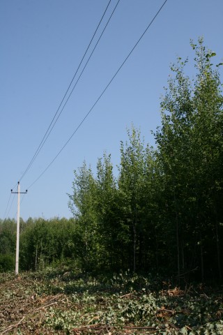 img_9516.jpg