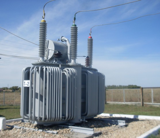 sdc13399.jpg