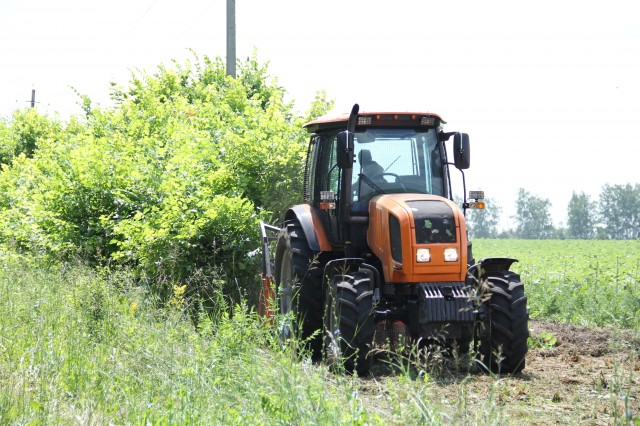 mulcher_2016.jpg