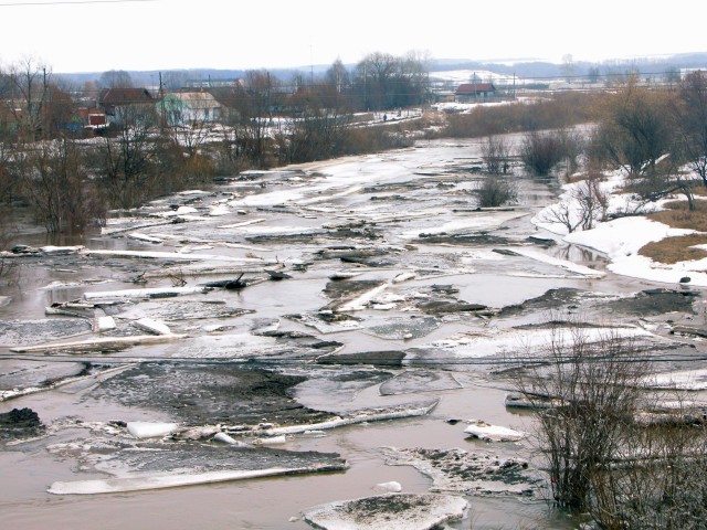dscn0101.jpg