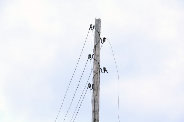 img_9745.jpg