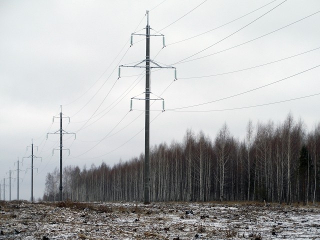 vl_mokshan_novaya.jpg