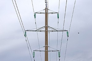 samara_300h200.jpg