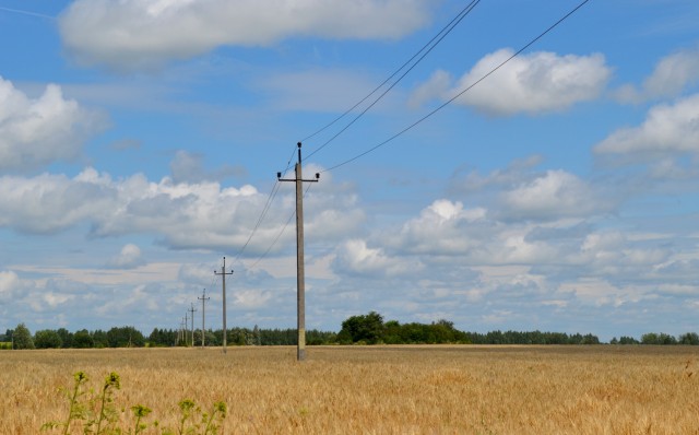 dsc_0135.jpg